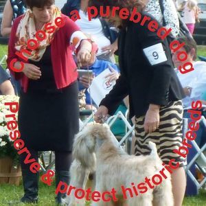 Meet your Posher, Lynn